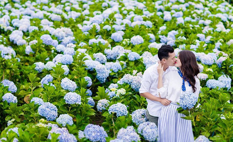 Tour Đà Nẵng - Đà Lạt thiên đường săn mây 3 ngày 2 đêm